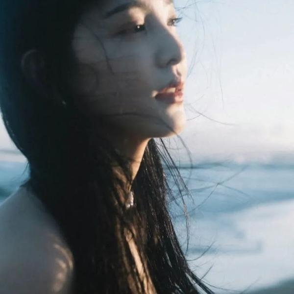 企鹅之岛：福克兰